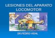 LESIONES DEL APARATO LOCOMOTOR DR.PEDRO VIDAL. EL APARATO LOCOMOTOR formado por Huesos y cartílagosArticulacionesMúsculos se agrupan en Se clasifican