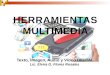 HERRAMIENTAS MULTIMEDIA Texto, Imagen, Audio y Vídeo DIGITAL Lic. Elvira G. Flores Rosales