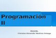 Programación II Programación II Docente. Christian Alexander Martínez Arteaga