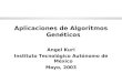 Aplicaciones de Algoritmos Genéticos Angel Kuri Instituto Tecnológico Autónomo de México Mayo, 2003