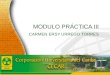 Www.ceat.cl MODULO PRÁCTICA III CARMEN ERSY URREGO TORRES 2005 Cuenta Anual Cuenta anual detallada en 