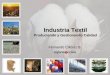 Industria Textil Produciendo y Gestionando Calidad Fernando Cillóniz B. inform@cción