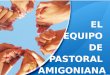 EL EQUIPO DE PASTORAL AMIGONIANA. PRESENTACIÓN  Cada presencia Amigoniana se concibe como proyecto integral de educación y de evangelización.  En cada