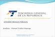 DIVISION FINANZAS PÚBLICAS Analista: Manuel Triviño Mayorga TESORERIA GENERAL DE LA REPUBLICA DIVISION FINANZAS PUBLICAS1
