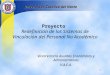 1 Proyecto Redefinición de los Sistemas de Vinculación del Personal No Académico Vicerrectoría Asuntos Económicos y Administrativos V.A.E.A. Universidad