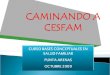 CAMINANDO A CESFAM CURSO BASES CONCEPTUALES EN SALUD FAMILIAR PUNTA ARENAS OCTUBRE 2009