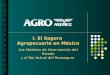 I. El Seguro Agropecuario en México Los Modelos de Intervención del Estado y el Rol Actual del Reaseguro