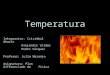 Temperatura Integrantes: Cristóbal Abarca Alejandro Valdés Pedro Vásquez Profesor: Julio Naranjo Asignatura: Plan diferenciado de física