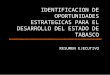 IDENTIFICACION DE OPORTUNIDADES ESTRATEGICAS PARA EL DESARROLLO DEL ESTADO DE TABASCO RESUMEN EJECUTIVO