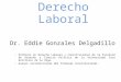 Derecho Laboral Dr. Eddie Gonzales Delgadillo – Profesor en Derecho Laboral y Constitucional de la Facultad de Derecho y Ciencia Polìtica de la Universidad