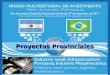 Proyectos Provinciales. Provincia de Corrientes Corrientes es la Provincia con mayor superficie forestada del País 450.000 Has. (año 2010). Cuenta con