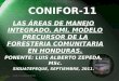 CONIFOR-11 LAS ÁREAS DE MANEJO INTEGRADO, AMI, MODELO PRECURSOR DE LA FORESTERIA COMUNITARIA EN HONDURAS. PONENTE: LUIS ALBERTO ZEPEDA, MSc. SIGUATEPEQUE,