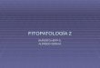 fitopatologia 2.1