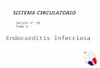 Endocarditis Infecciosa SISTEMA CIRCULATORIO Sesión nº 28 Tema 9