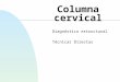 Columna cervical Diagnóstico estructural Técnicas Directas