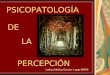 PSICOPATOLOGÍA PERCEPCIÓN DE LA Leticia Muñoz García- Largo MIRIII