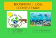 BIOSFERA I: LOS ECOSISTEMAS I.E.S IZPISÚA BELMONTE CTMA 2º Bachillerato