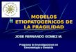 MODELOS ETIOPATOGENICOS DE LA FRAGILIDAD JOSE FERNANDO GOMEZ M. Programa de Investigaciones en Gerontología y Geriatría