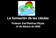 La formación de las células Profesor Joel Martínez Reyes 12 de febrero de 2008