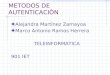METODOS DE AUTENTICACIÓN Alejandra Martínez Zamayoa Marco Antonio Ramos Herrera TELEINFORMATICA 901 IET