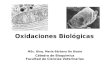 Oxidaciones Biológicas MSc. Bioq. María Bárbara De Biasio Cátedra de Bioquímica Facultad de Ciencias Veterinarias