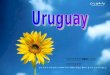 0901. Conociendo Uruguay Conociendo Uruguay Uruguay: Un país pequeño pero grande. Uruguay es un hermoso país sudamericano de tamaño pequeño, frecuentemente