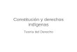 Constitución y derechos indígenas Teoría del Derecho