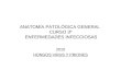 ANATOMÍA PATOLÓGICA GENERAL CURSO 3º ENFERMEDADES INFECCIOSAS 2010 HONGOS VIRUS Y PRIONES