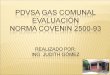 Misión: PDVSA Gas Comunal es una compañía de servicio público suplidora de gas domiciliario. Alineada con la política socialista del Estado como una empresa