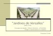 Jardines de Versalles (1661-1715) Francisca Correa. Concepto de estudio: ESPACIO ESCENICO _ ATMOSFERA (Imagen y representación en el espacio)
