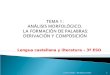 Lengua castellana y literatura – 3º ESO Carmen Andreu - IES Miguel Catalán1