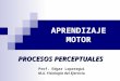 APRENDIZAJE MOTOR Prof. Edgar Lopategui M.A. Fisiología del Ejercicio PROCESOS PERCEPTUALES