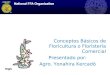 Conceptos Básicos de Floricultura o Floristería Comercial Presentado por: Agro. Yonahira Kercadó mgs