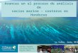 HCRF La Ceiba, Junio 2010 Calina Zepeda Especialista Marina Región MNCA Avances en el proceso de análisis de vacios marino – costeros en Honduras