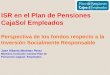 Jose Alberto Martinez Perez Miembro Comisión Control Plan de Pensiones Cajasol Empleados ISR en el Plan de Pensiones CajaSol Empleados Perspectiva de los
