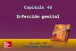 McGraw-Hill Education LLC Todos los derechos reservados. Capítulo 46. Infección genital Sección III. Patología especial Sección III Patología especial