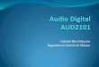 AUD2101 - P05 Transmisión de Audio Digital