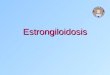Estrongiloidosis. Estrongiloidosis Infección del intestino delgado del ser humano causada por Strongyloides stercoralis. Su principal manifestación clínica
