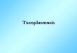 Toxoplasmosis. Toxoplasmosis Infección por Toxoplasma gondii que se caracteriza por producir trastornos en varios órganos del cuerpo y cuyas manifestaciones