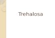Trehalosa. La trehalosa ( -D-glucopiranosil-(1,1)- -D-glucopiranósido) Es un disacárido no reductor formado por dos moléculas de glucosa, se encuentra