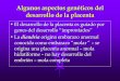 Clase 8C - Anatomia y Fisiologia de La Placenta