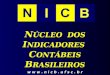 N ÚCLEO DOS I NDICADORES C ONTÁBEIS B RASILEIROS w w w. n i c b. u f s c. b r