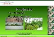 MAIO 2010 Projecto do Plano Estratégico 2009-2010 1 “A Horta Pedagógica” 2009-2010 Projecto Alunos do Externato Passos Manuel