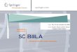 Springer.com SC BIILA Seminario de Consorcio de Bibliotecas Ítalo-Íbero-Latino-Americanas