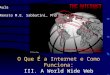 O Que É a Internet e Como Funciona: III. A World Wide Web Aula Renato M.E. Sabbatini, PhD