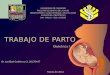 Obstetricia I T RABAJO DE PARTO UNIVERSIDAD DE CARABOBO FACULTAD DE CIENCIAS DE LA SALUD DEPARTAMENTO CLINICO INTEGRAL DE LOS LLANOS ASIGNATURA: OBSTETRICIA