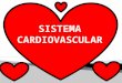 Sistema Circulatorio  Anatomia-Fisiologia-Semiología.Anamnesis