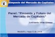 1 Panel: Presente y Futuro del Mercado de Capitales Leonardo Villar Gómez Medellín, mayo 5 de 2006 Simposio del Mercado de Capitales