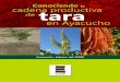 TARA.cadena Productiva de Tara en Ayacucho, Mayo 2008