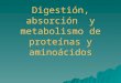 Digestión, absorción y metabolismo de proteínas y aminoácidos